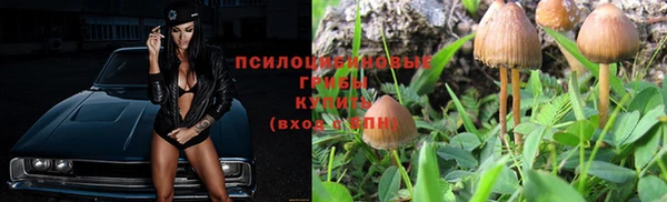 прущая мука Беломорск