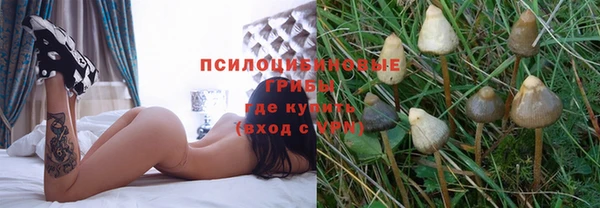 прущая мука Беломорск