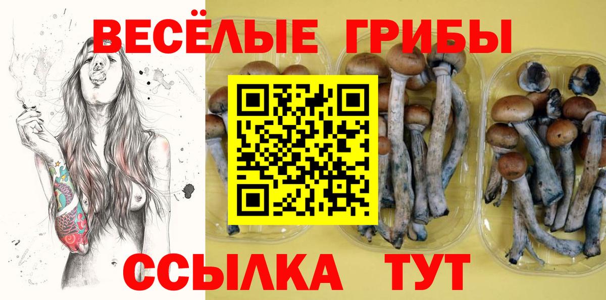 Реж  Псилоцибиновые грибы мухоморы  Вход с VPN 